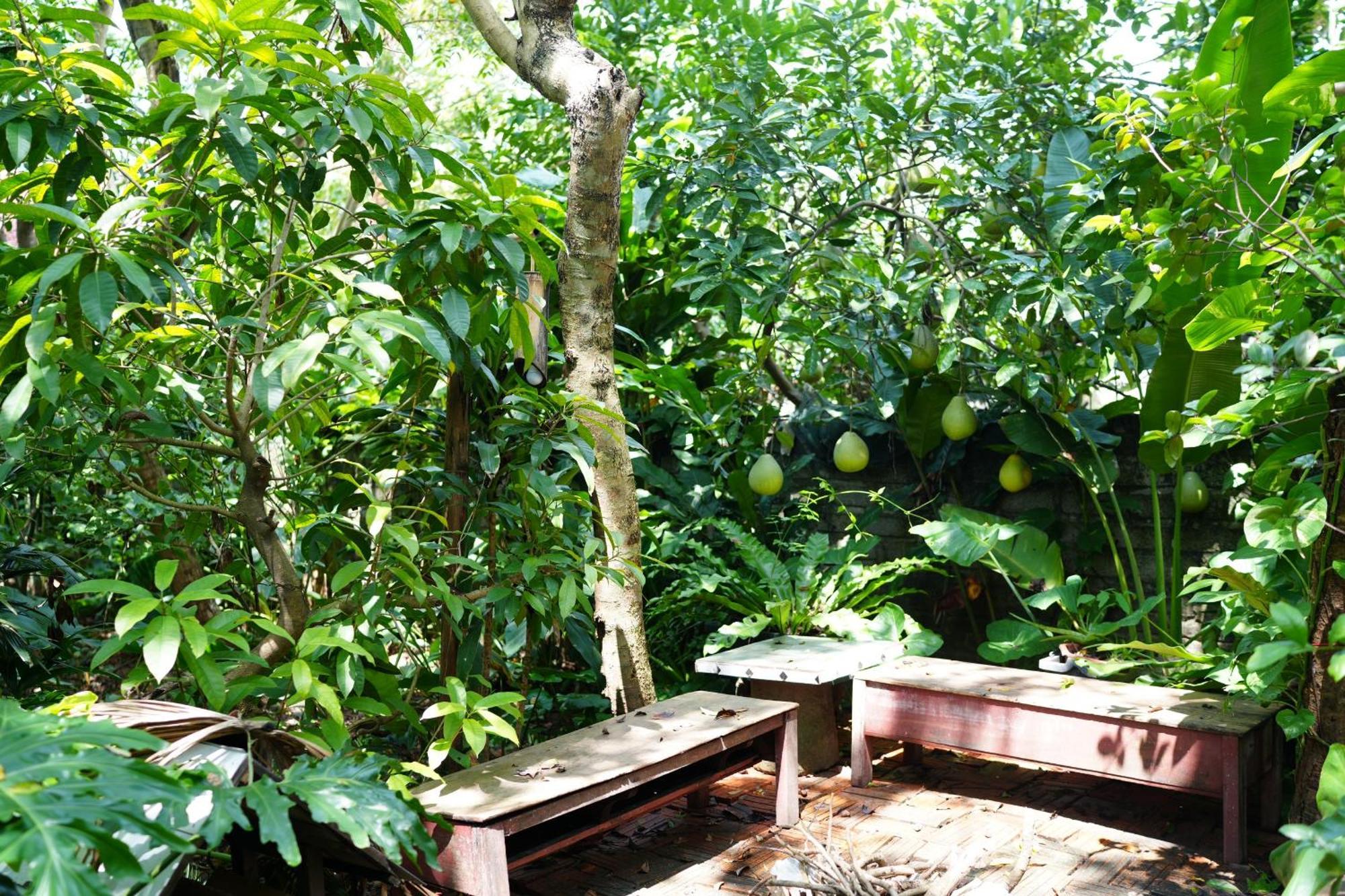 Nha Lua Homestay Ninh Binh Zewnętrze zdjęcie